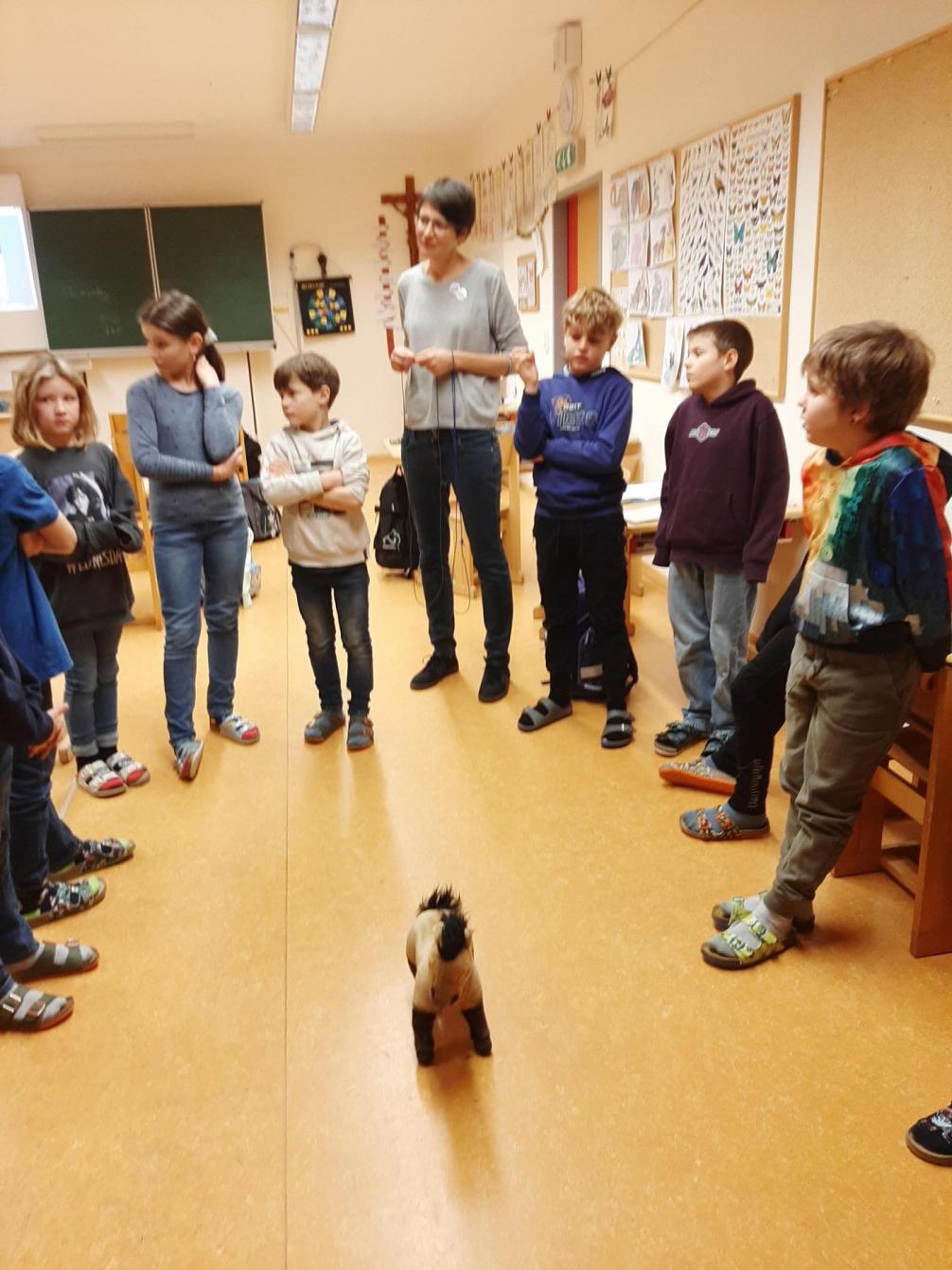 Tierschutz - Workshop